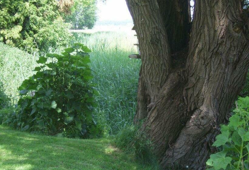 צימר Theaterherberg