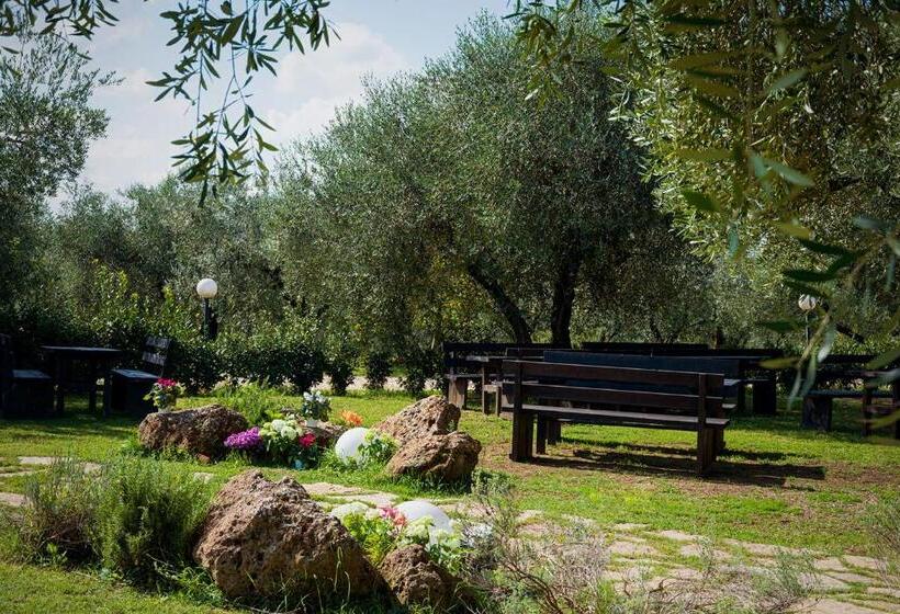 호텔 Agriturismo Il Solengo