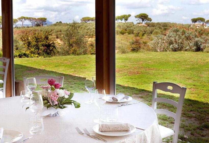 호텔 Agriturismo Il Solengo