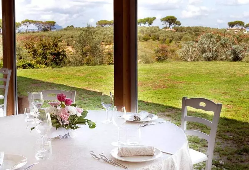 ホテル Agriturismo Il Solengo