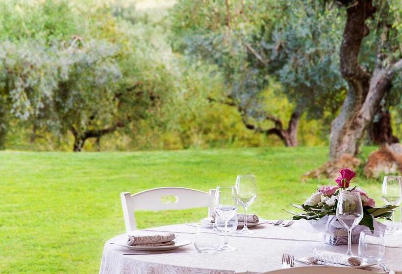 호텔 Agriturismo Il Solengo