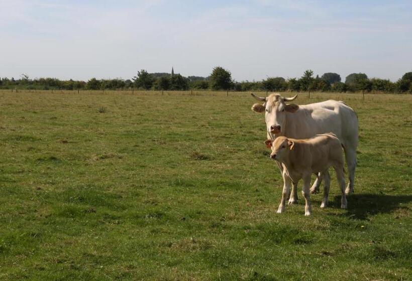 ホテル Gasthof Schraevenacker