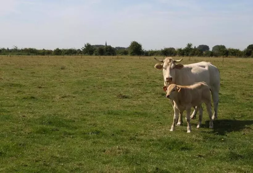 Hotelli Gasthof Schraevenacker