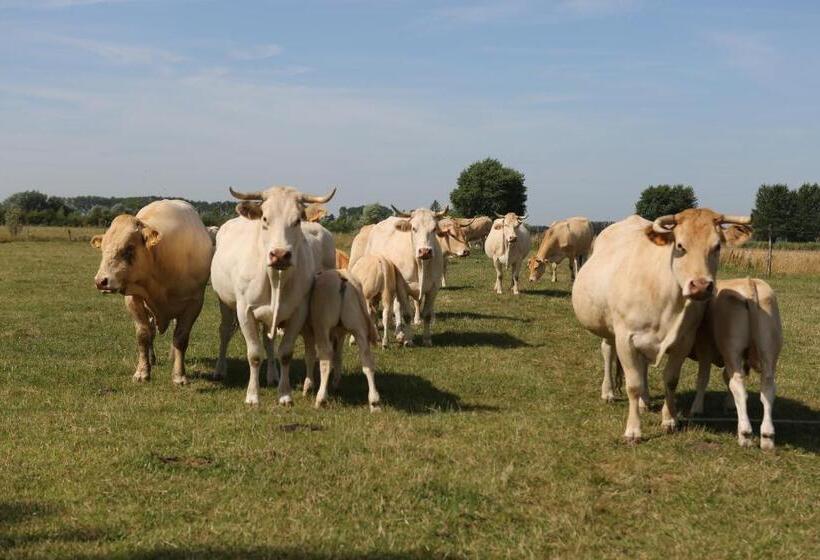 ホテル Gasthof Schraevenacker