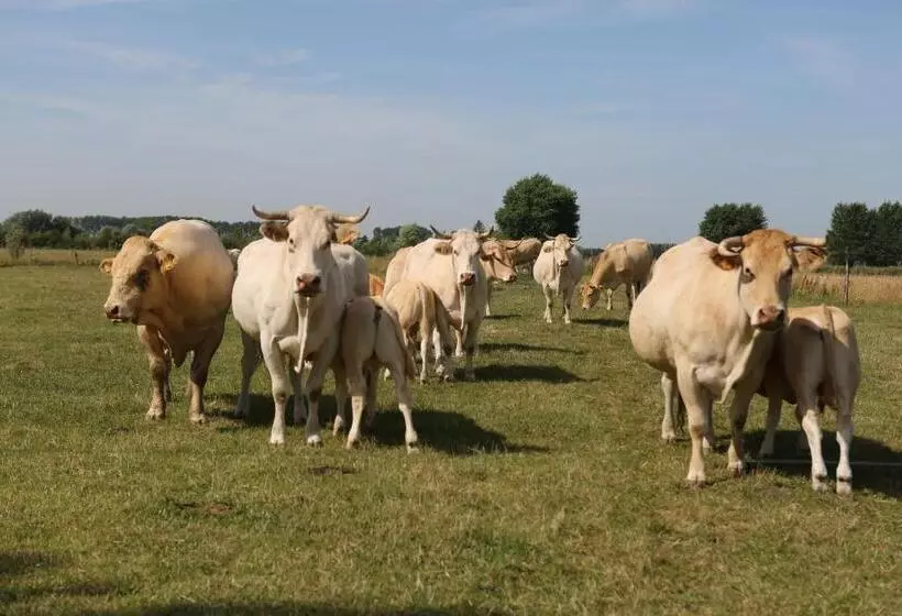 Hotelli Gasthof Schraevenacker