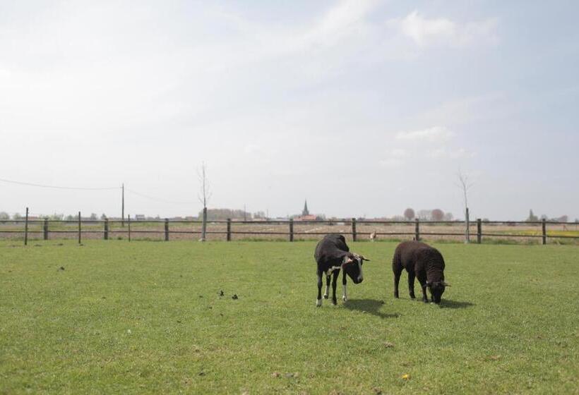 ホテル Gasthof Schraevenacker