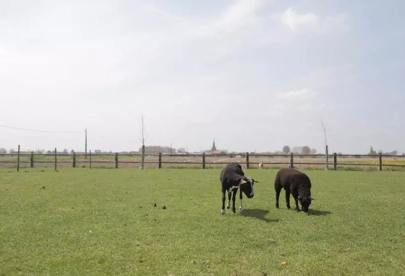 Hotelli Gasthof Schraevenacker