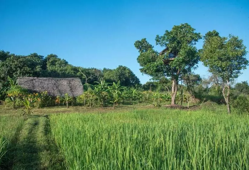 Hotelli Habarana Farm Cottage