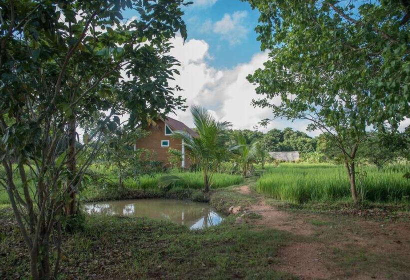 Отель Habarana Farm Cottage