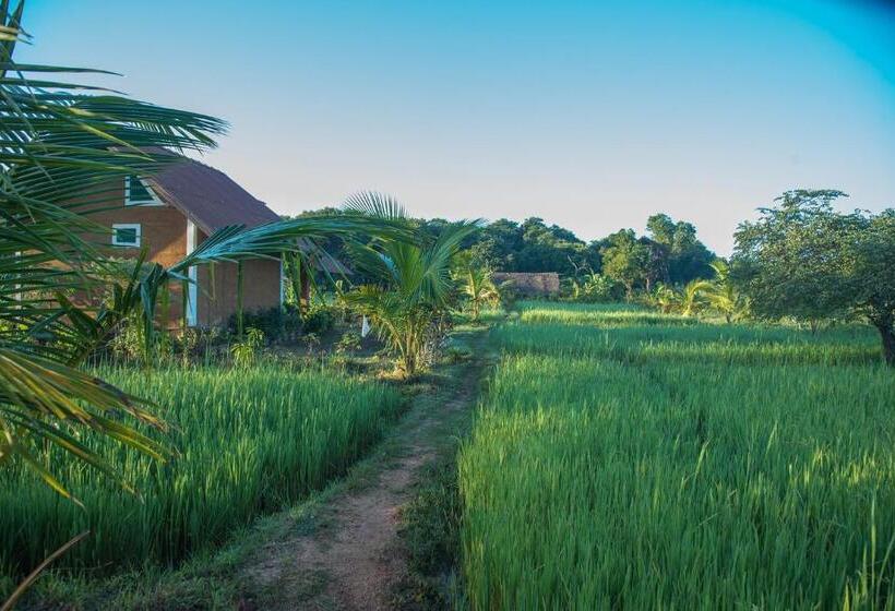 Отель Habarana Farm Cottage