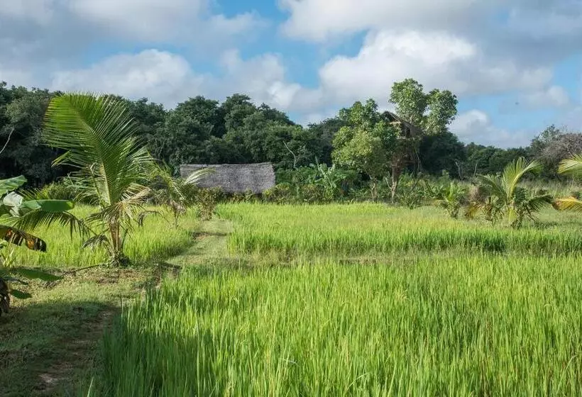 Hotelli Habarana Farm Cottage