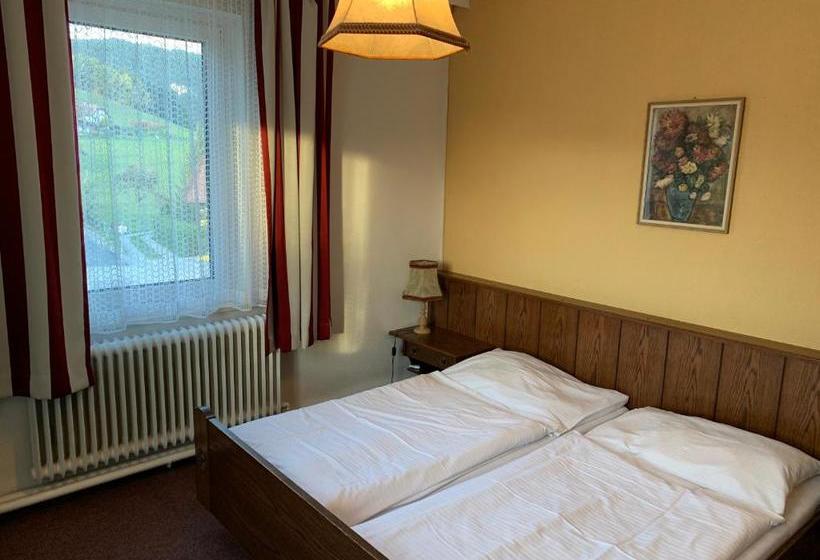 Pensjonat Gasthof Seelhofer