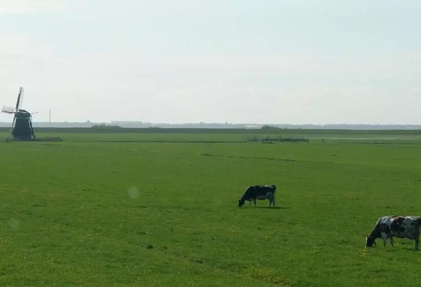 ベッドアンドブレックファースト Lyklamastate