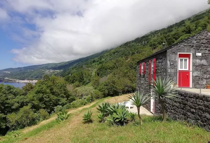 Casas De Incensos   Ter  Ta