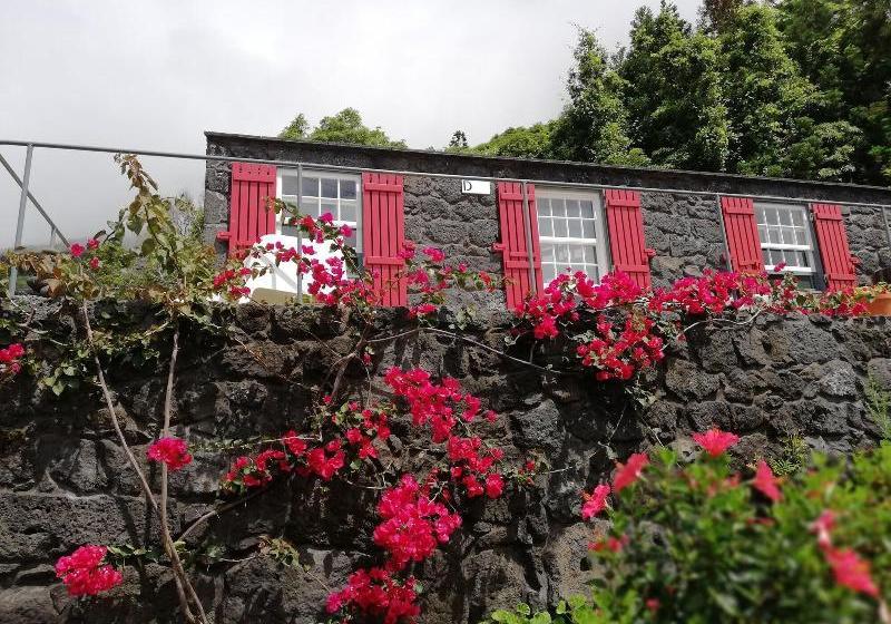 Casas De Incensos Ter Ta