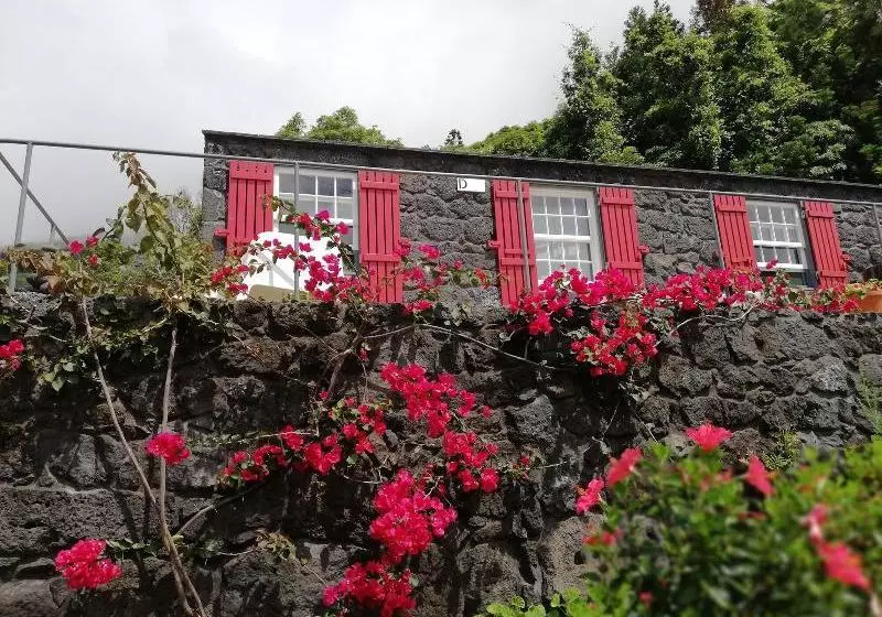 Casas De Incensos   Ter  Ta