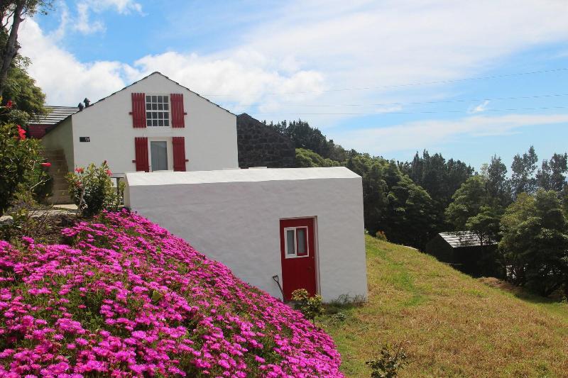 Casas De Incensos Ter Ta