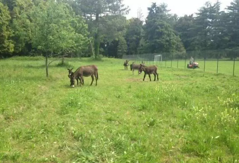 ホテル Camping Solcio