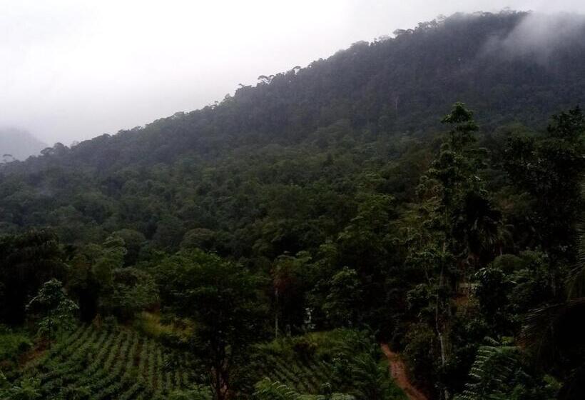 فندق Evergreen Villa  Sinharaja