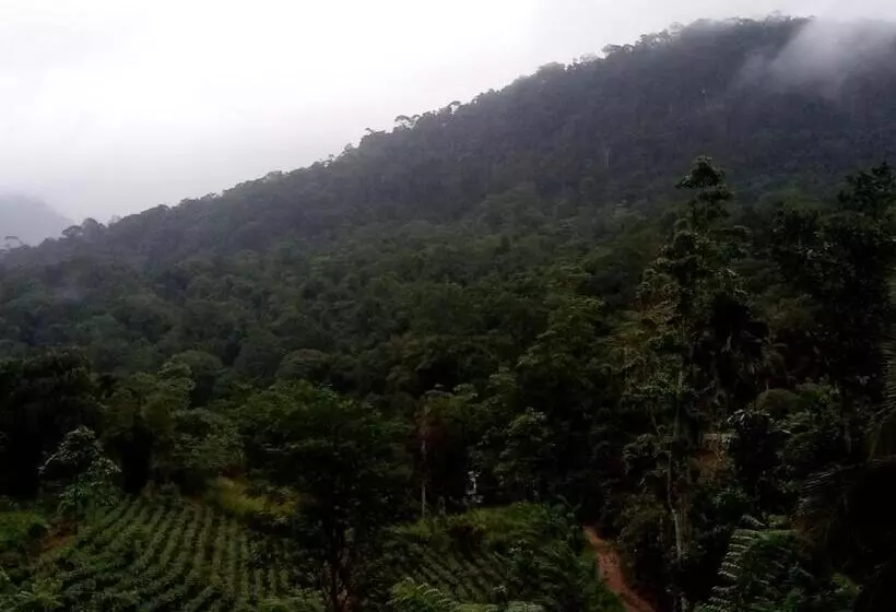 Hotelli Evergreen Villa  Sinharaja