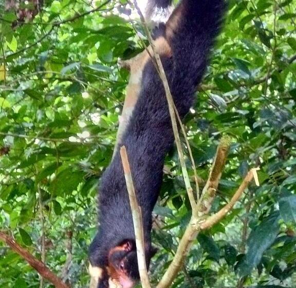 فندق Evergreen Villa  Sinharaja