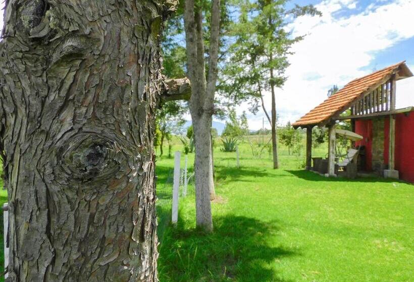 ホテル Hacienda La Noria Culture Boutique By Rotamundos