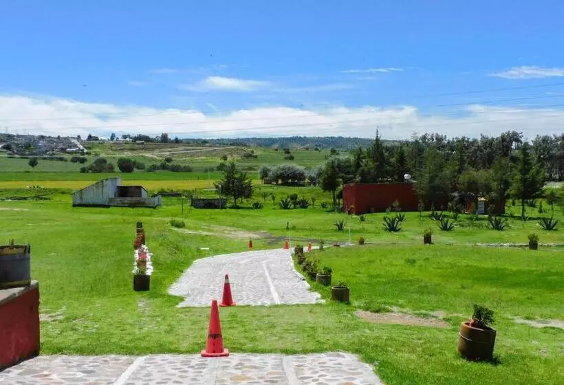 ホテル Hacienda La Noria Culture Boutique By Rotamundos