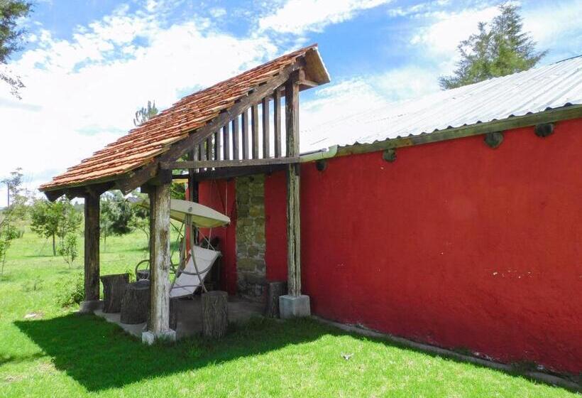 ホテル Hacienda La Noria Culture Boutique By Rotamundos