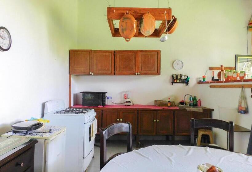 ホテル Hacienda La Noria Culture Boutique By Rotamundos