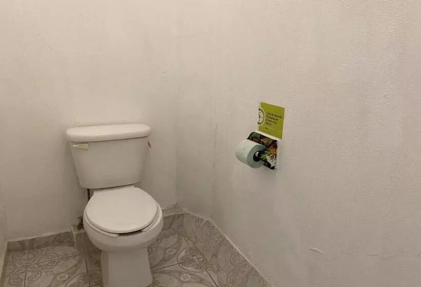 ホテル Paraiso Kora