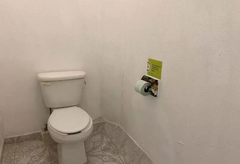 ホテル Paraiso Kora