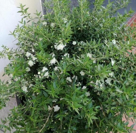 ペンション Jerula B&b