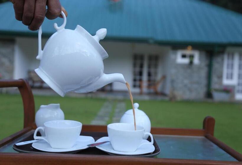 פנסיון Rockbourne Bungalow