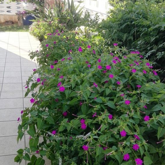 Nocleg ze śniadaniem Casa Di Frami