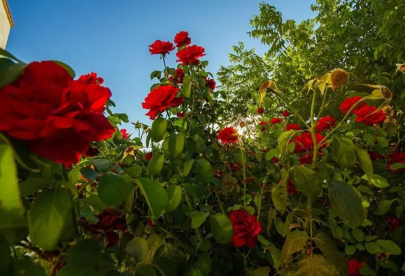 Estia Anogaia Cottage