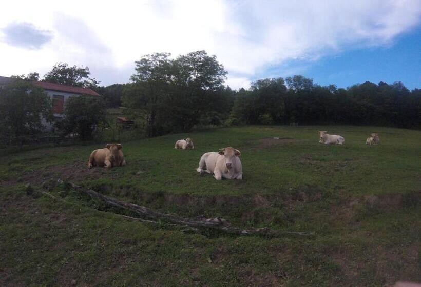 乡村酒店 Agriturismo Dei Legi