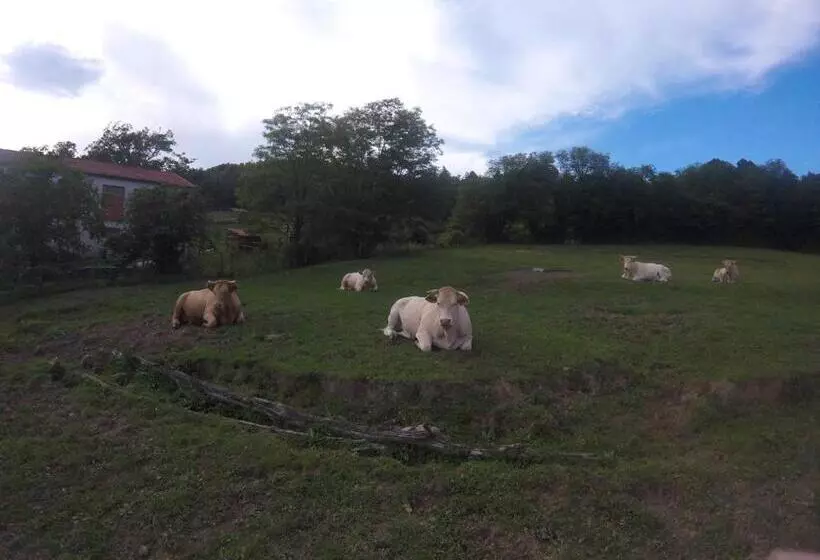 田舎風ホテル Agriturismo Dei Legi