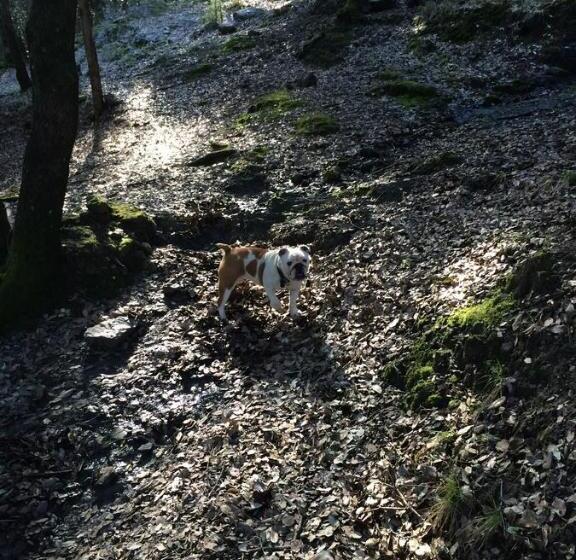 乡村酒店 Agriturismo Dei Legi
