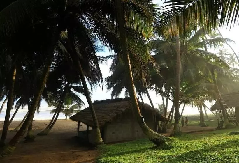 Majatalo Beyin Eco Beach Camp