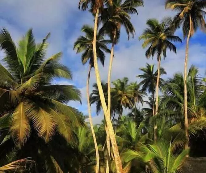 Majatalo Beyin Eco Beach Camp