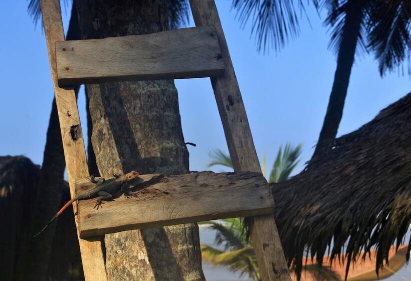 ペンション Beyin Eco Beach Camp