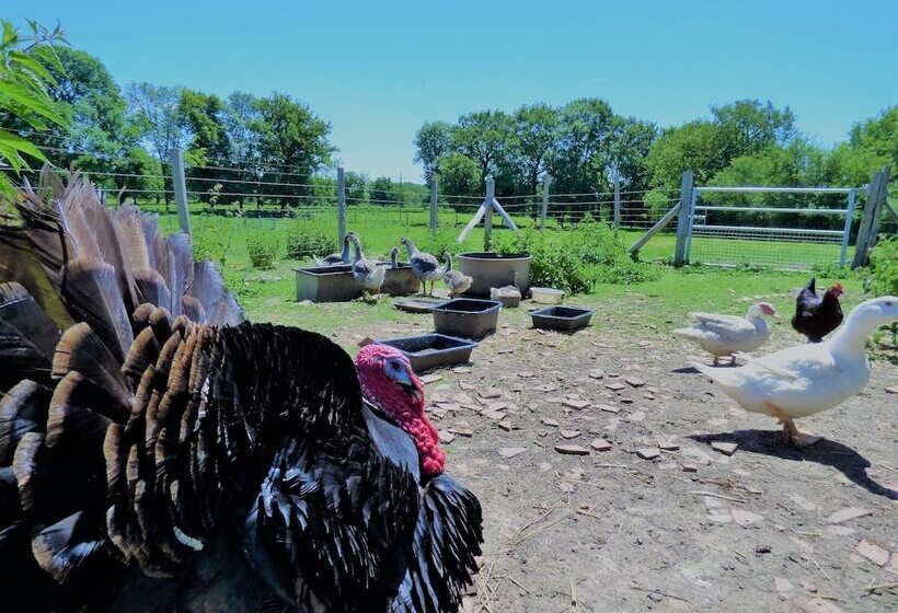 بنسيون L Ancien Presbytère Chambres D Hote Ou Gite