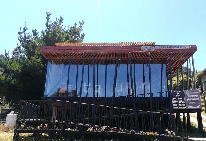 膳宿费 Lodge Los Bosques