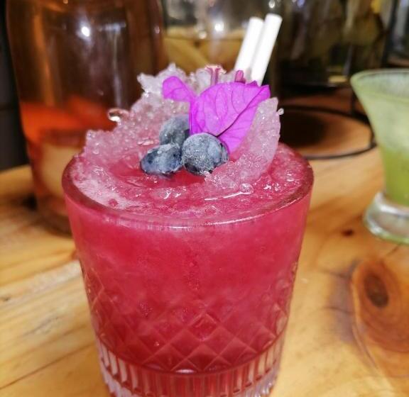 膳宿费 Lodge Los Bosques