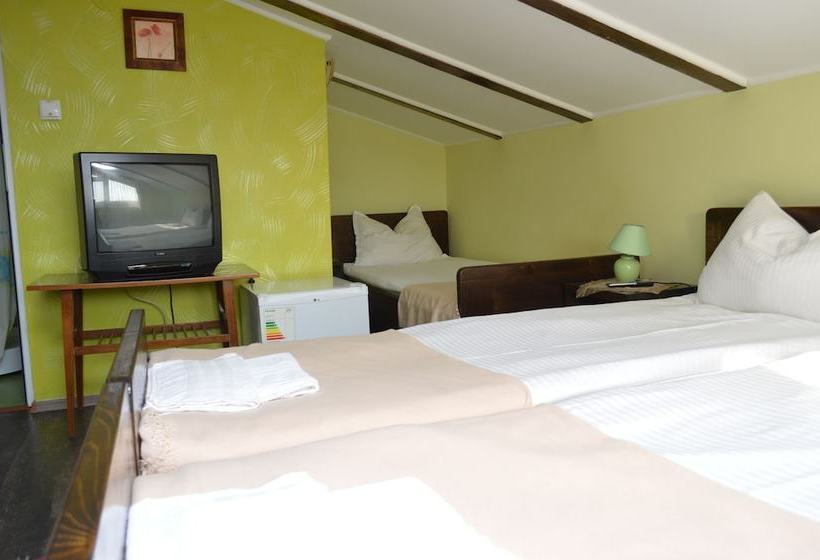 Pensiunea La Cetate Slimnic