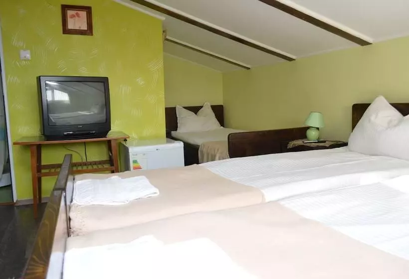 Pensiunea La Cetate Slimnic