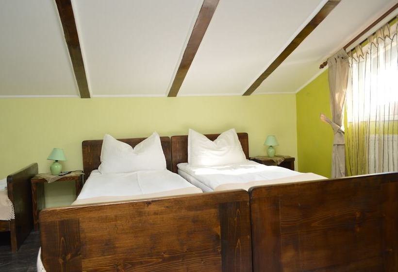 Pensiunea La Cetate Slimnic