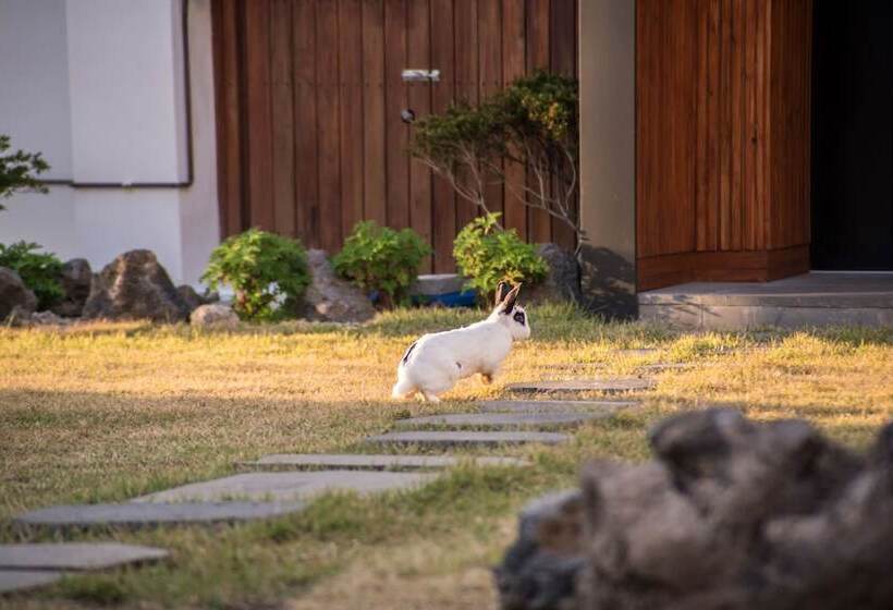 Hotel Aewol Bada Town House