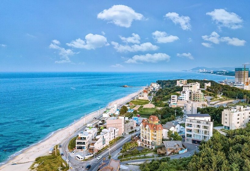 酒店 Gangneung Pension Sea And   Pet Friendly