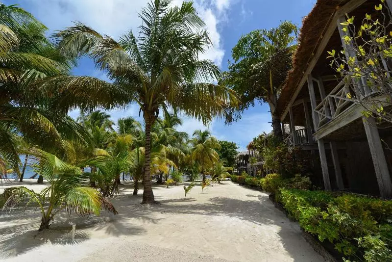 هتل Captain Morgan's Retreat